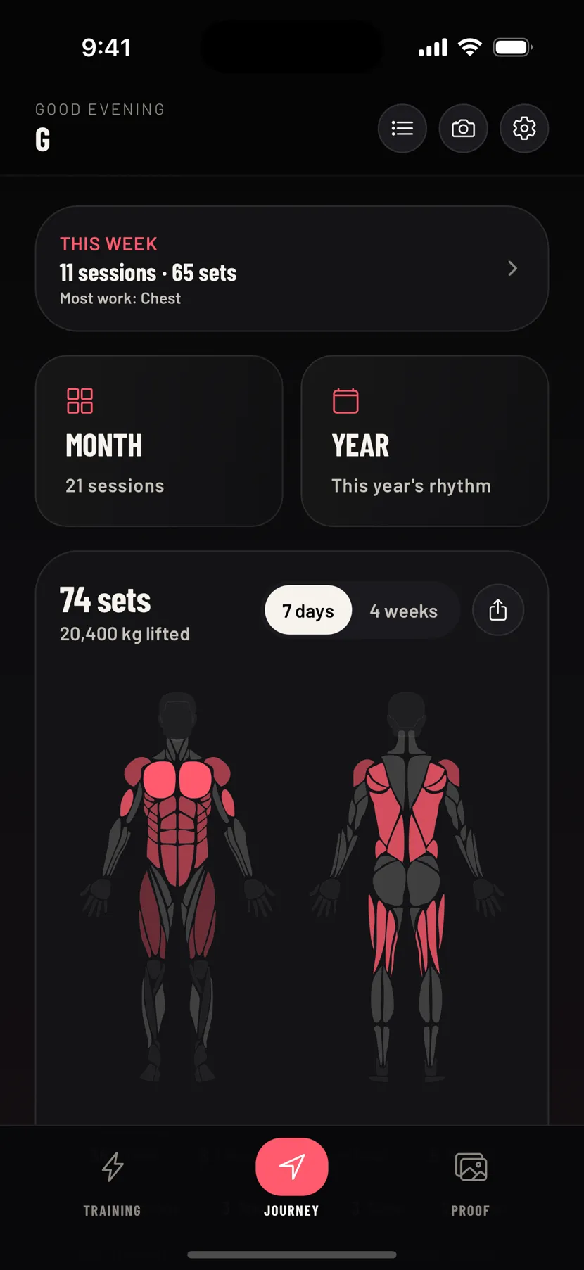 The body figure with this week's muscles shaded, 74 sets and 20,400 kg lifted