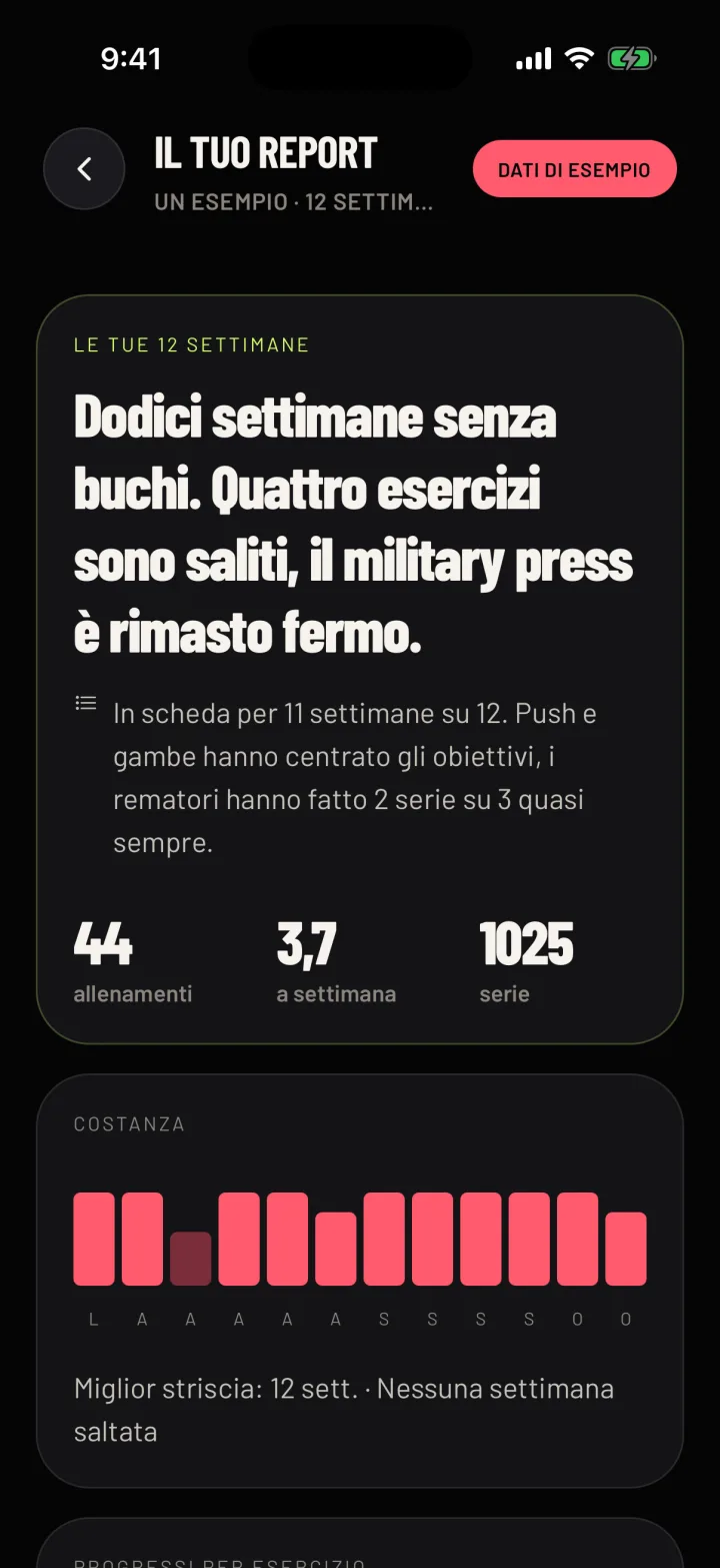 Un report di esempio in Gym Commitment, con il titolo e tre modifiche per la scheda. Dati di esempio.