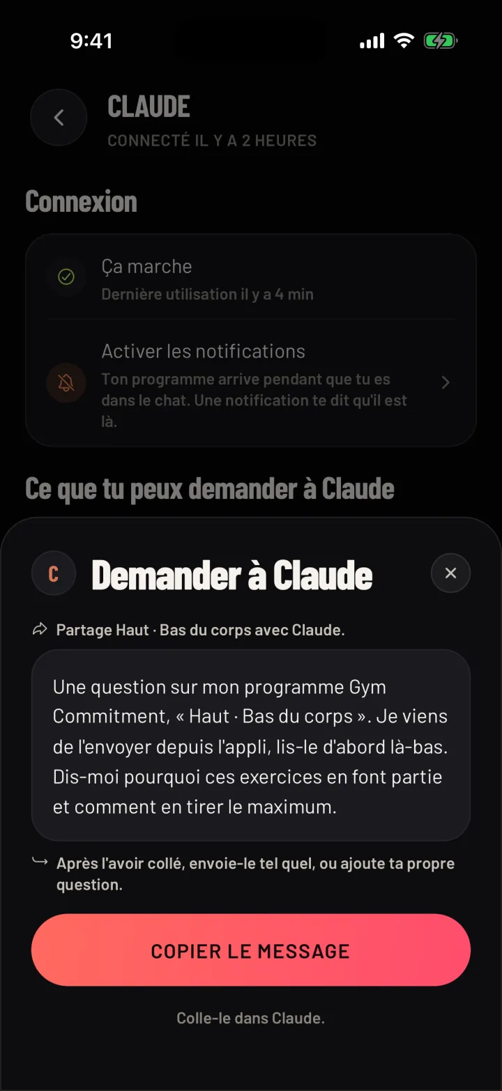 Le message à copier dans ton IA, avec le bouton Copier le message. Données d'exemple.