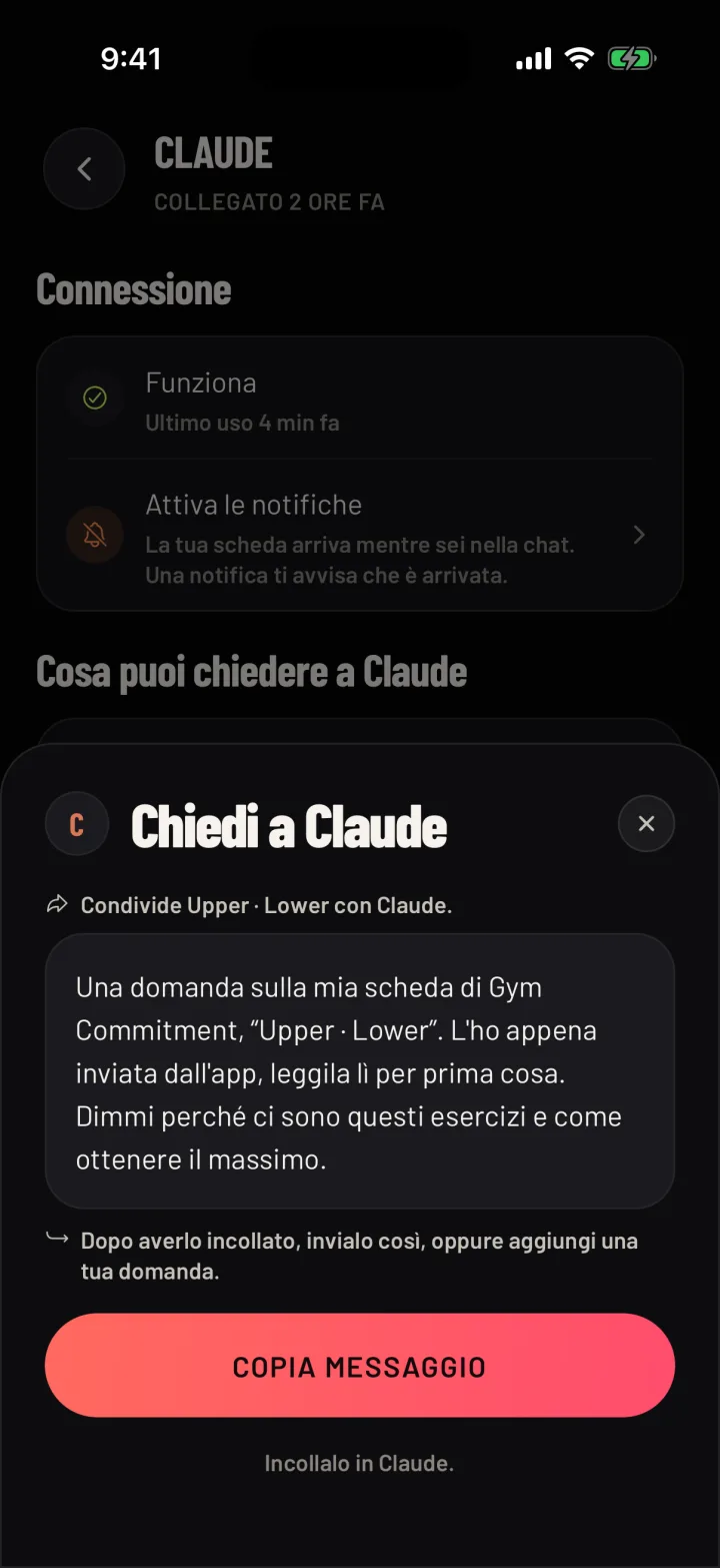 Il messaggio da copiare nella tua IA, con il pulsante Copia messaggio. Dati di esempio.