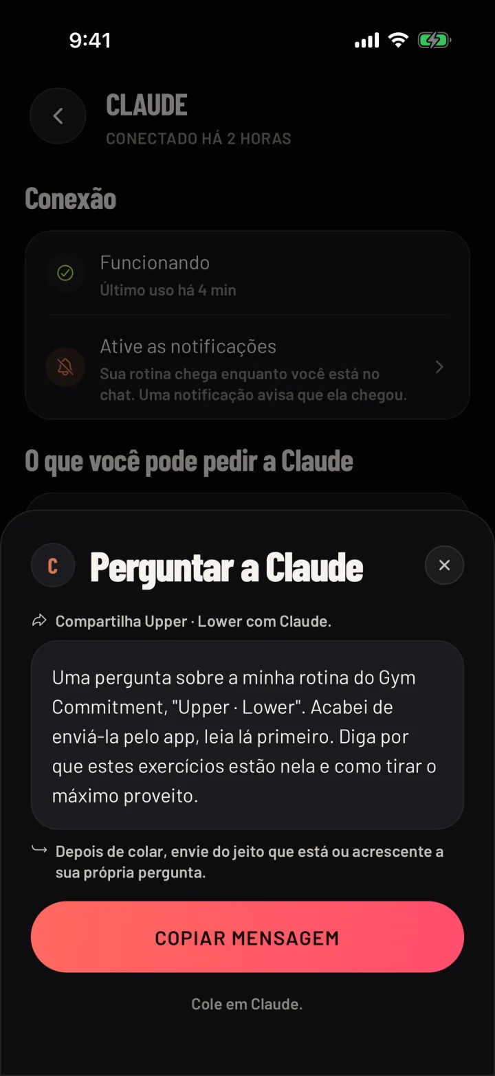 A mensagem para copiar na sua IA, com o botão Copiar mensagem. Dados de exemplo.