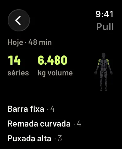 O treino de um dia, Pull: 48 minutos, 14 séries, 6480 kg levantados, os músculos na figura e os exercícios com suas séries. Dados de exemplo.