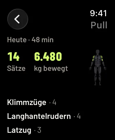 Das Training eines Tages, Pull: 48 Minuten, 14 Sätze, 6480 kg bewegt, die Muskeln auf der Figur und die Übungen mit ihren Sätzen. Beispieldaten.