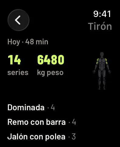 El entreno de un día, Tirón: 48 minutos, 14 series, 6480 kg levantados, los músculos en la figura y los ejercicios con sus series. Datos de ejemplo.