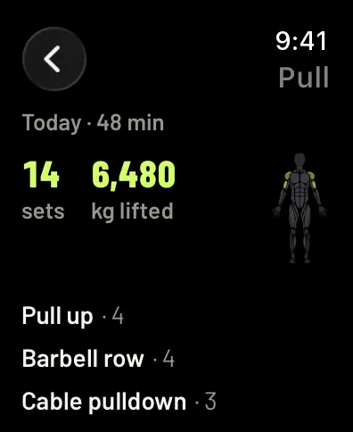 One day’s workout, Pull: 48 minutes, 14 sets, 6,480 kg lifted, the muscles on the body figure and the exercises with their sets. Sample data.