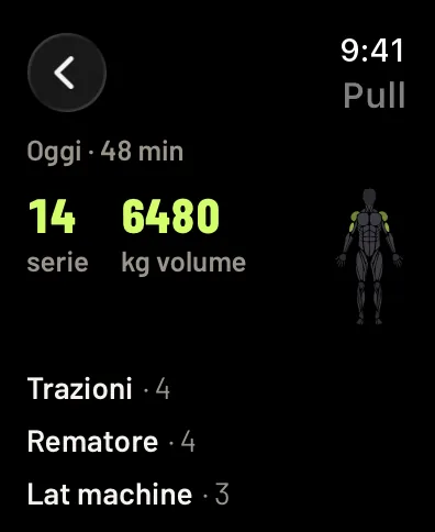 L’allenamento di un giorno, Pull: 48 minuti, 14 serie, 6480 kg sollevati, i muscoli sulla figura e gli esercizi con le loro serie. Dati di esempio.