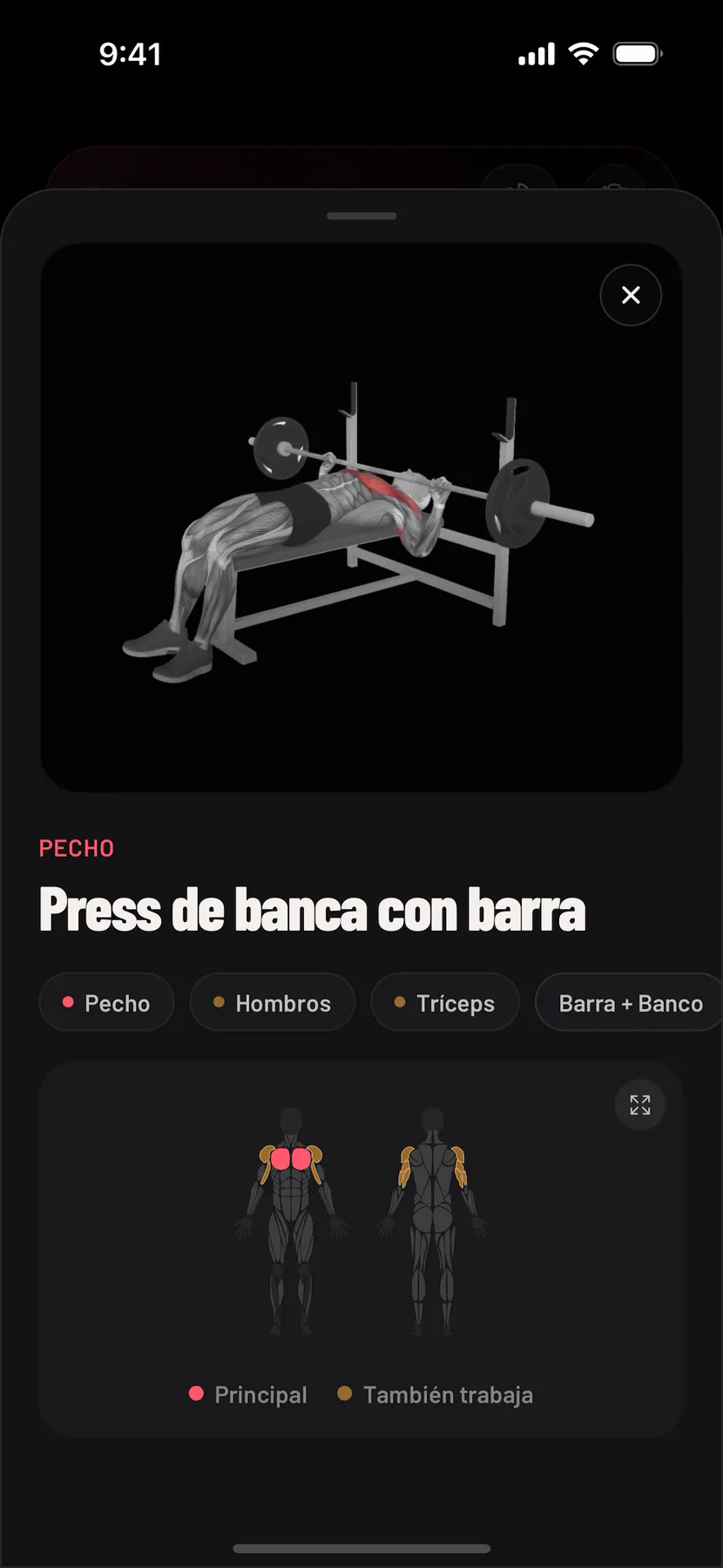 El vídeo de técnica de un ejercicio reproduciéndose dentro de la app, con los músculos que trabaja y los pasos para hacerlo