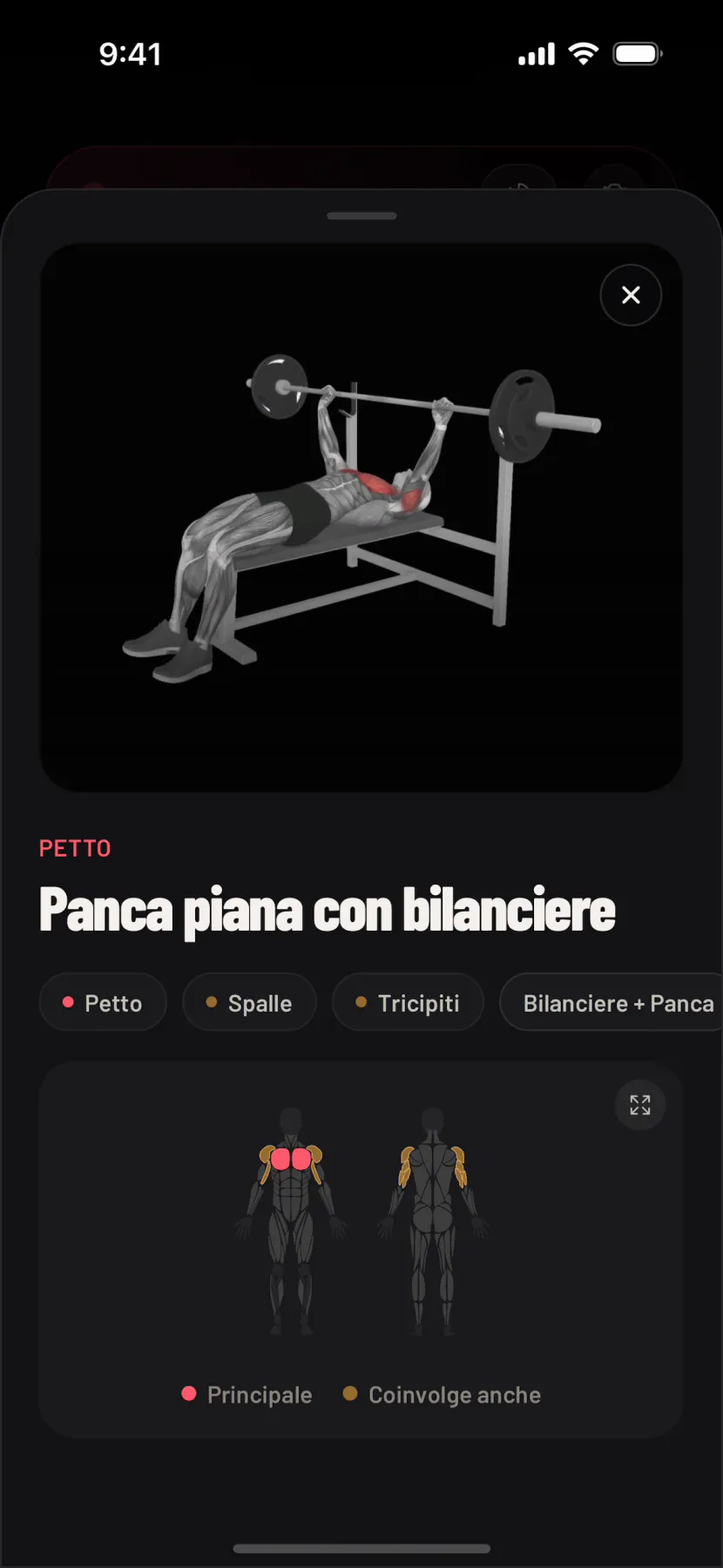 Il video dell'esecuzione di un esercizio in riproduzione nell'app, con i muscoli che lavora e i passaggi per eseguirlo